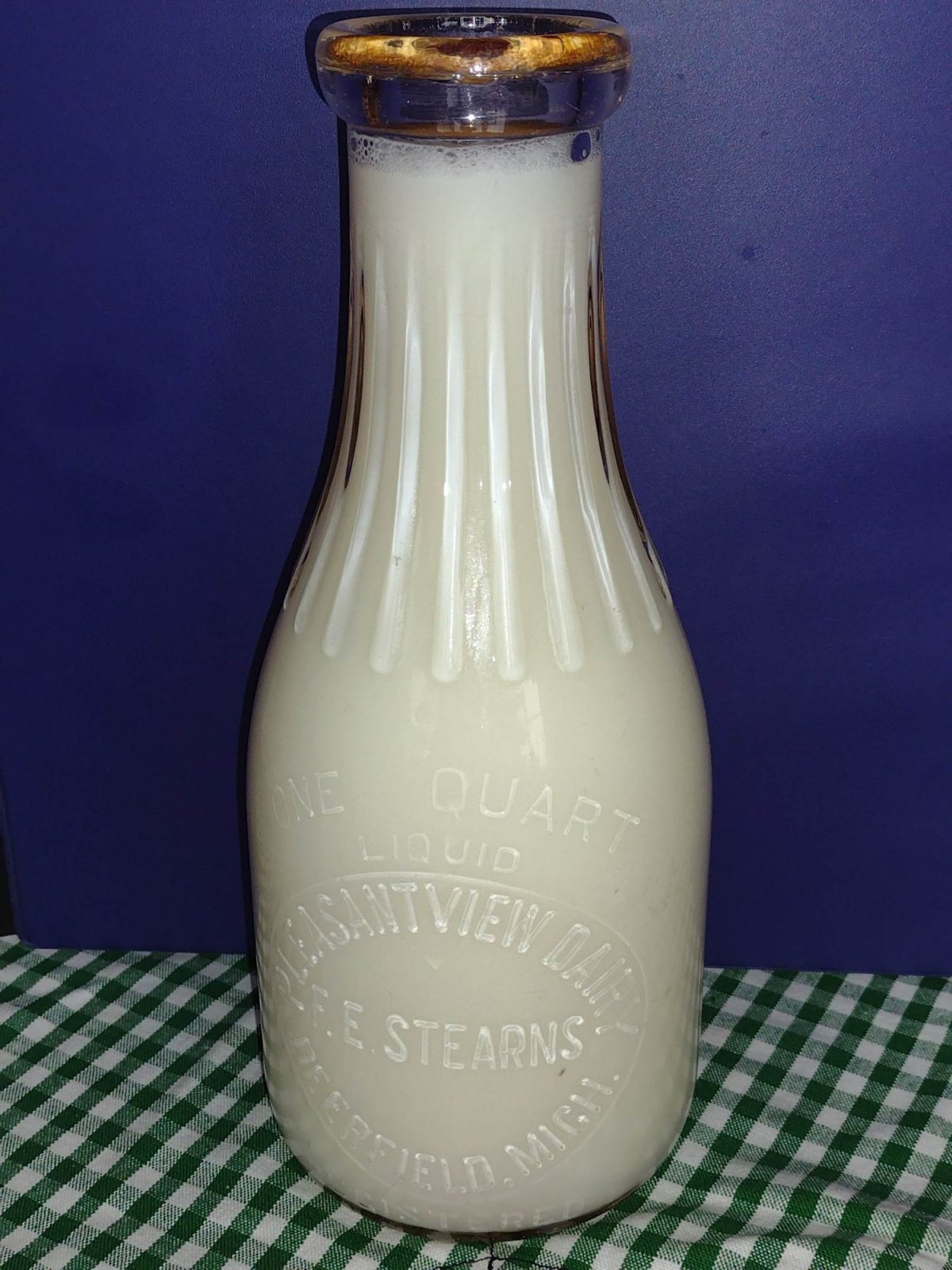 F.E. Stearns Pleasant View Dairy Farm milk bottle image.jpeg