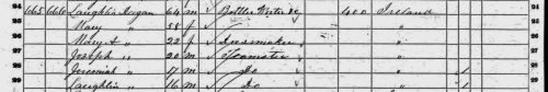 Deegan Laughlin 1860 Census.jpg