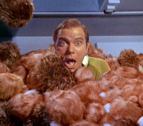trouble-with-tribbles.jpeg
