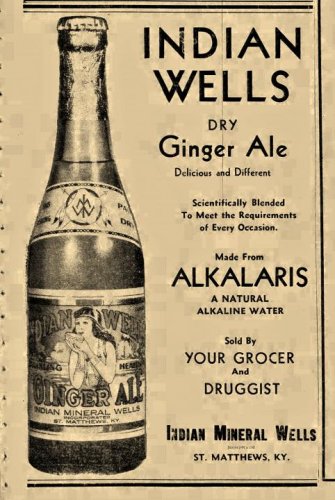 Epping Indian Mineral Wells Ginger Ale Courier Journal KY July 2, 1931 (2).jpg