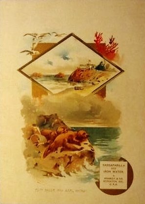 Schmidt & Co. Orangine 1890s Trade Card.jpg