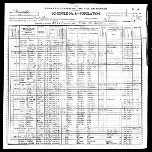 Barq 1900 Census Biloxi (2).jpg