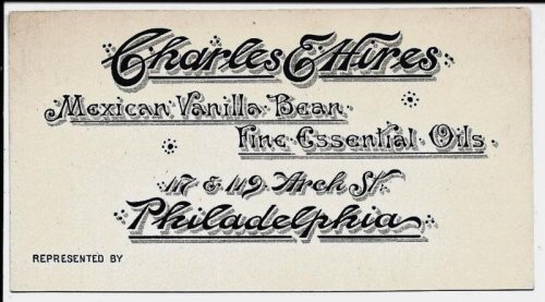 Hires Vanilla Bean Business Card.jpg