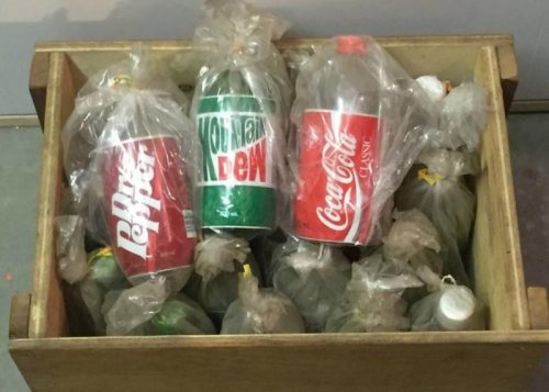 Coke 500ml bottles.jpg
