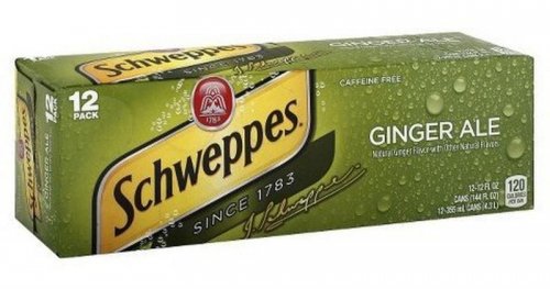 Schweppes Ginger Ale 12 Pack Cans with Fountain.jpg