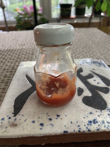 Tiny ketchup bottle.JPG