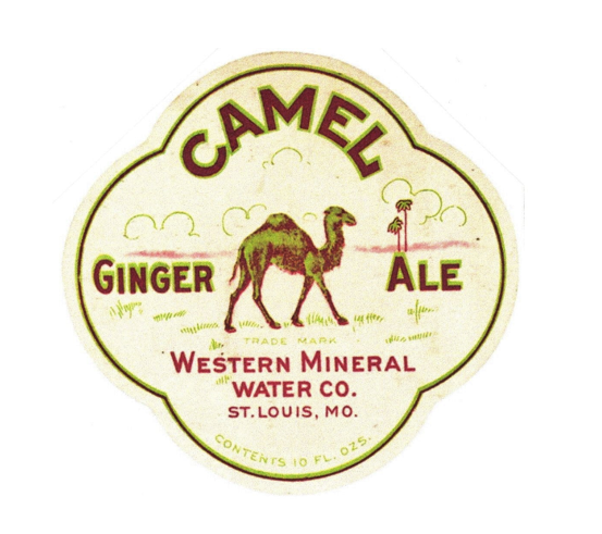 camel 3.PNG