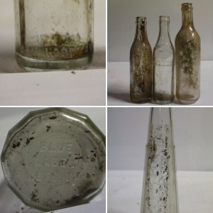 Bottles from the Charles River