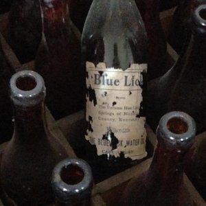 Bottle type in crate